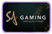 SA GAMING