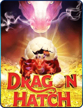 DRAGON HATCH